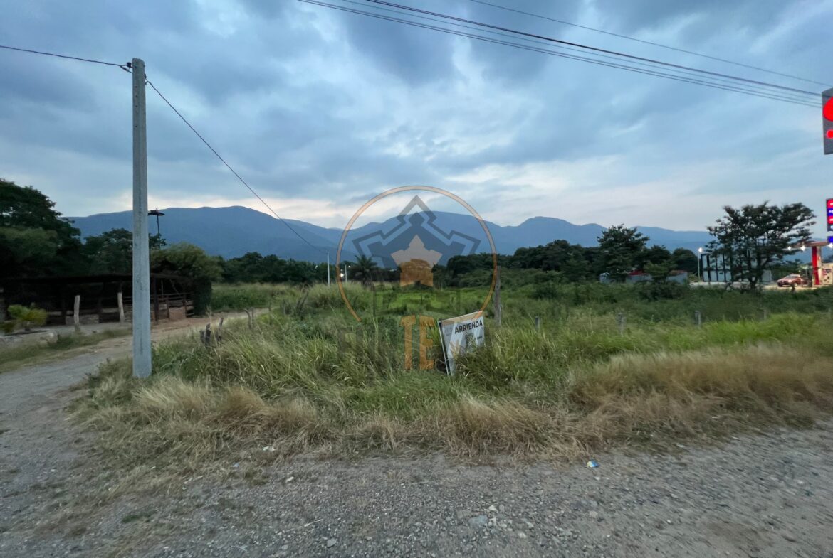 Arriendo lote en corozal
